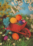 EASTER EGG Vintage Postcard CPSM #PBO181.A - Easter