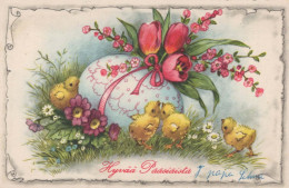 PASQUA POLLO UOVO Vintage Cartolina CPA #PKE378.A - Easter