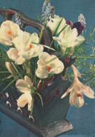 FLOWERS Vintage Ansichtskarte Postkarte CPSM #PBZ378.A - Fiori