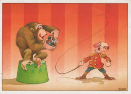 MONKEY Animals Vintage Postcard CPSM #PAN992.A - Affen