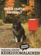 HUND Tier Vintage Ansichtskarte Postkarte CPSM #PAN606.A - Dogs