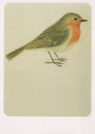 PÁJARO Animales Vintage Tarjeta Postal CPSM #PAN198.A - Oiseaux