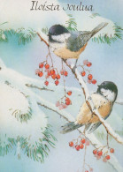 VOGEL Tier Vintage Ansichtskarte Postkarte CPSM #PAM965.A - Birds