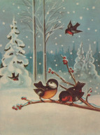 OISEAU Animaux Vintage Carte Postale CPSM #PAM869.A - Birds