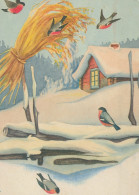 VOGEL Tier Vintage Ansichtskarte Postkarte CPSM #PAM805.A - Oiseaux