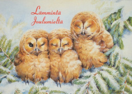 UCCELLO Animale Vintage Cartolina CPSM #PAM738.A - Oiseaux