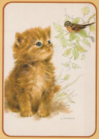 CAT KITTY Animals Vintage Postcard CPSM #PAM586.A - Cats