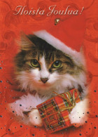 KATZE MIEZEKATZE Tier Vintage Ansichtskarte Postkarte CPSM #PAM575.A - Katten