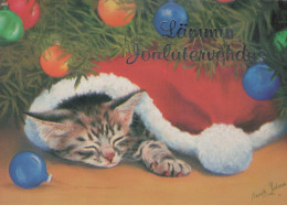 GATTO KITTY Animale Vintage Cartolina CPSM #PAM458.A - Katten