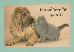 CHAT CHAT Animaux Vintage Carte Postale CPSM #PAM394.A - Katten