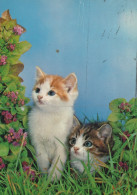 GATTO KITTY Animale Vintage Cartolina CPSM #PAM313.A - Katten