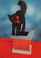 GATTO KITTY Animale Vintage Cartolina CPSM #PAM223.A - Katten