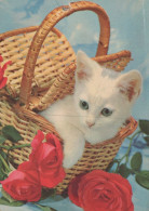 GATO GATITO Animales Vintage Tarjeta Postal CPSM #PAM107.A - Cats
