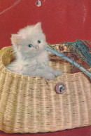 KATZE MIEZEKATZE Tier Vintage Ansichtskarte Postkarte CPSM #PAM110.A - Katten