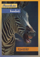 ZEBRA Tier Vintage Ansichtskarte Postkarte CPSM #PBR933.A - Zebras