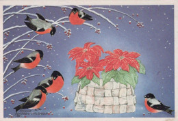 VOGEL Tier Vintage Ansichtskarte Postkarte CPSM #PBR393.A - Birds