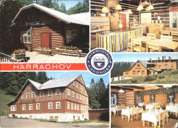 71859597 Harrachov Harrachsdorf Hotel Lesni Harrachsdorf - Czech Republic