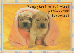 HUND Tier Vintage Ansichtskarte Postkarte CPSM #PBQ407.A - Dogs
