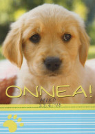 DOG Animals Vintage Postcard CPSM #PBQ363.A - Hunde