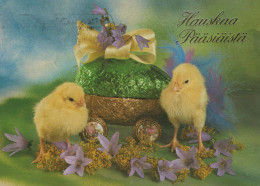 PÂQUES POULET ŒUF Vintage Carte Postale CPSM #PBO904.A - Pâques