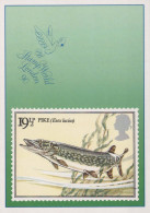 PESCE Animale Vintage Cartolina CPSM #PBS867.A - Fish & Shellfish