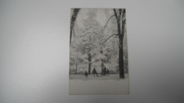 THEME DIVERS CARTE ANCIENNE EN N/BL  ARBRE AVEC NEIGE 4 PERSONNAGES ////BE+ - Other & Unclassified