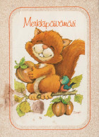 SCOIATTOLO Animale Vintage Cartolina CPSM #PBS717.A - Sonstige & Ohne Zuordnung