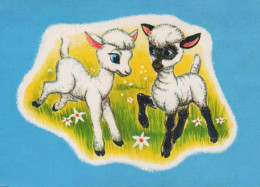 ZIEGE Tier Vintage Ansichtskarte Postkarte CPSM #PBS614.A - Sonstige & Ohne Zuordnung