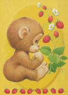 MONKEY Animals Vintage Postcard CPSM #PBR984.A - Singes