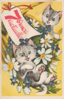 GATO Vintage Tarjeta Postal CPSMPF #PKG915.A - Cats