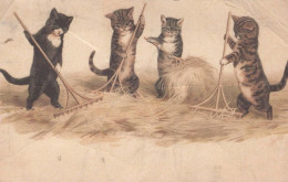 CAT KITTY Animals Vintage Postcard CPA #PKE751.A - Cats