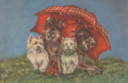 HUND Tier Vintage Ansichtskarte Postkarte CPA #PKE800.A - Dogs