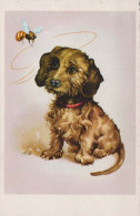 CHIEN Animaux Vintage Carte Postale CPA #PKE779.A - Hunde