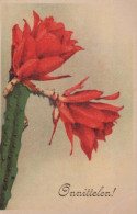 FLOWERS Vintage Postcard CPA #PKE566.A - Flowers