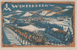 1 MARK Stadt WINTERBERG Westphalia DEUTSCHLAND Notgeld Banknote #PF679 - Lokale Ausgaben