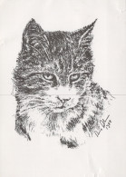 CAT KITTY Animals Vintage Postcard CPSM #PAM189.GB - Katzen