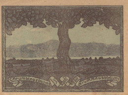 10 HELLER 1920 Stadt KRUMMNUSSBAUM Niedrigeren Österreich Notgeld #PD658 - [11] Local Banknote Issues