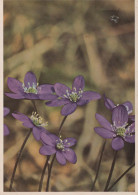 FLEURS Vintage Carte Postale CPSM #PAR390.FR - Flowers