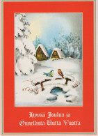 OISEAU Animaux Vintage Carte Postale CPSM #PAN009.FR - Birds
