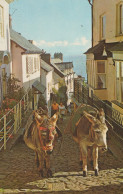 DONKEY Animals Vintage Antique Old CPA Postcard #PAA257.GB - Donkeys