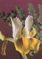 FLOWERS Vintage Postcard CPSM #PBZ636.GB - Bloemen