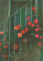 FLOWERS Vintage Postcard CPSM #PBZ096.GB - Fleurs