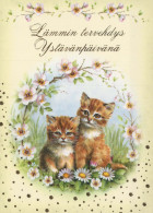 CAT KITTY Animals Vintage Postcard CPSM #PBQ914.GB - Katzen