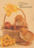 EASTER CHICKEN EGG Vintage Postcard CPSM #PBO683.GB - Pâques