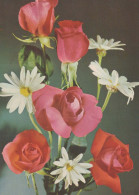 FLORES Vintage Tarjeta Postal CPSM #PAS593.ES - Flowers