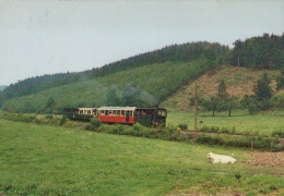 TREN TRANSPORTE Ferroviario Vintage Tarjeta Postal CPSM #PAA831.ES - Trains