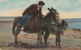 ÂNE Animaux Enfants Vintage Antique CPA Carte Postale #PAA339.FR - Donkeys