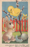 PÂQUES LAPIN POULET ŒUF Vintage Carte Postale CPA #PKE320.FR - Pasen