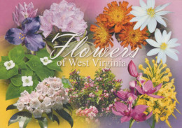 FLEURS Vintage Carte Postale CPSM #PBZ218.FR - Flowers