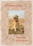 CHIEN Animaux Vintage Carte Postale CPSM #PBQ527.FR - Hunde